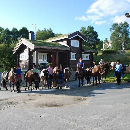 Fjellheimen Motel 뢰로스